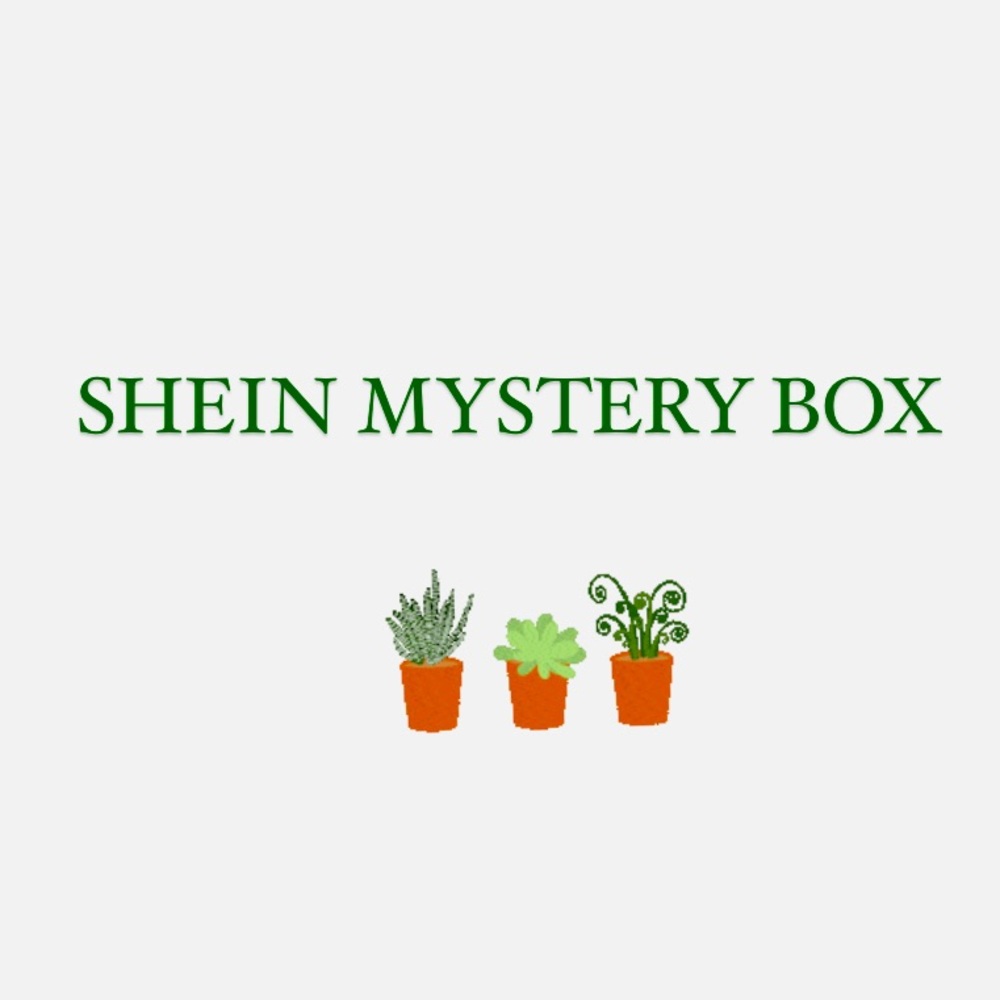 Mystery box - SHEIN items